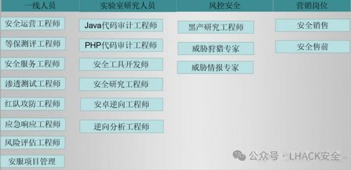 網(wǎng)絡(luò)安全專家與信息安全畢業(yè)生就業(yè)分析 聚焦網(wǎng)絡(luò)與信息安全軟件開(kāi)發(fā)